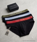 Calzoncillo Bóxer Tommy Hilfiger Trunk – Estilo Premium