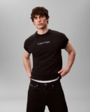 Camiseta de Hombre con Logo Estampado Calvin Klein (Negro)