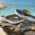 Sandalias Vapor Foam Sayto para Hombre