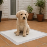 TK Pet – Empapadores para perros 100 unidades, alta absorción y control de olores