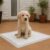 TK Pet – Empapadores para perros 100 unidades, alta absorción y control de olores
