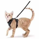 Arnés para gatos con correa: paseos fáciles y seguros