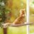 Hamaca ventana felina: descanso con vistas para tu gato