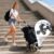 Carrito de compras 3 en 1 plegable Sekey de 42 L con 6 ruedas