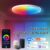Lámpara de Techo Inteligente Tuya WiFi 24W RGB + Blanco Cálido/Frío – Control por App, Alexa y Google Home