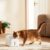 Xiaomi Smart Pet Fountain 2 – Fuente para Gatos 3L Inteligente